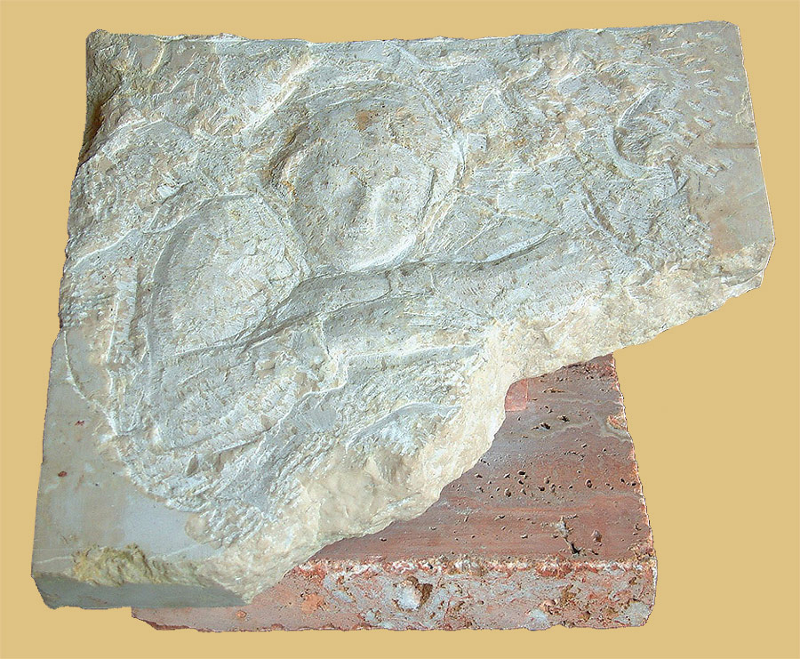 sculture3_045