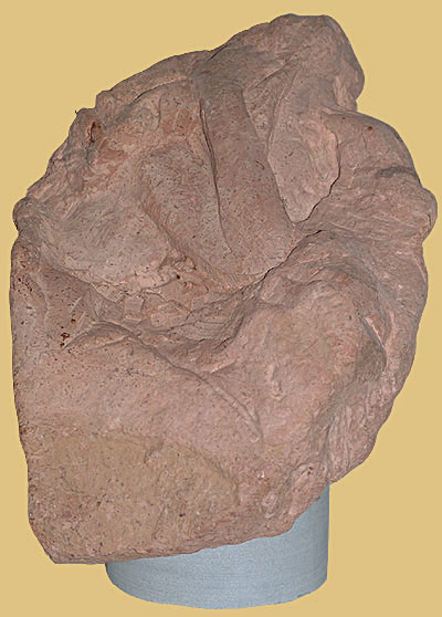 sculture_Elena _I_018