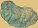 mostra_citta_alta_009