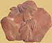 mostra_rovetta_2005_021