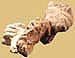 sculture2_009_10
